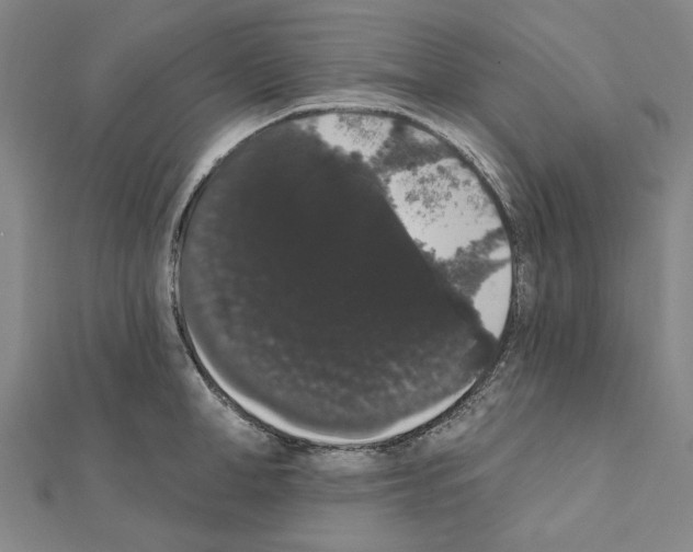 X0000111440998200908241140