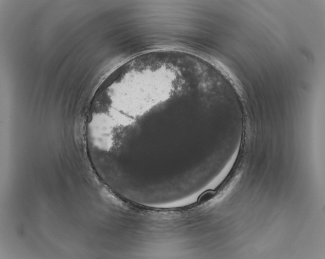 X0000111441001200908241140