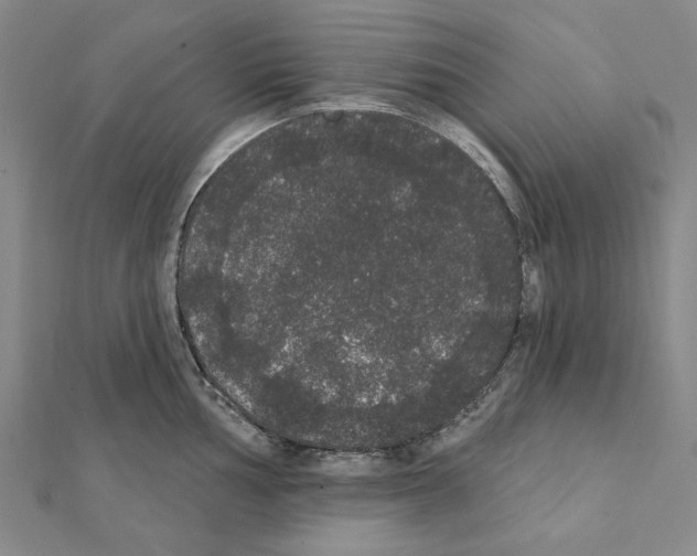 X0000111441002200908241140