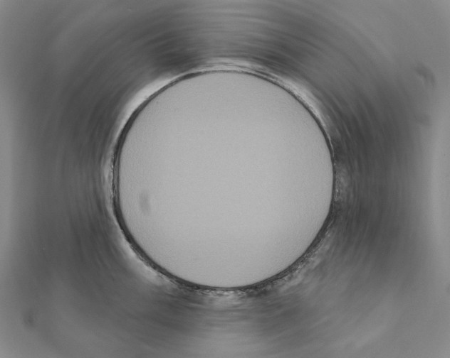 X0000111441003200908241140