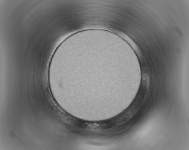 X0000111441004200908241140