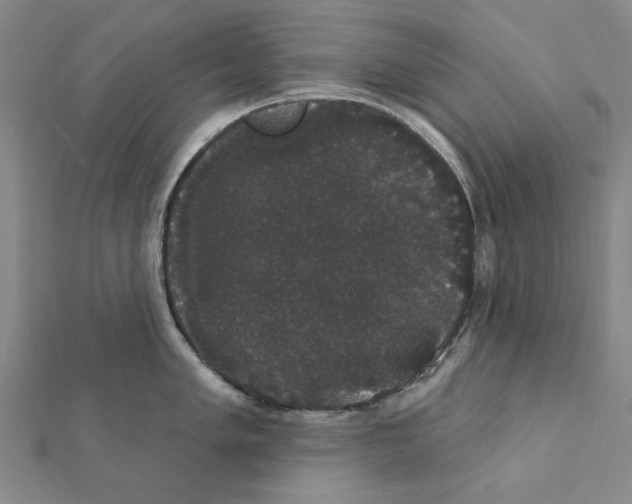 X0000111441005200908241140
