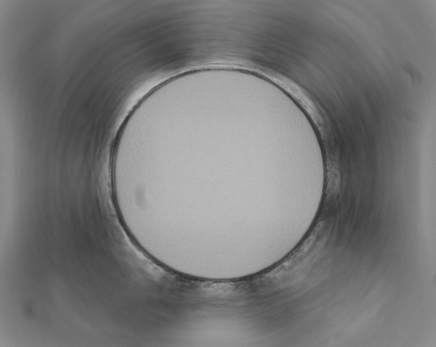 X0000111441006200908241140
