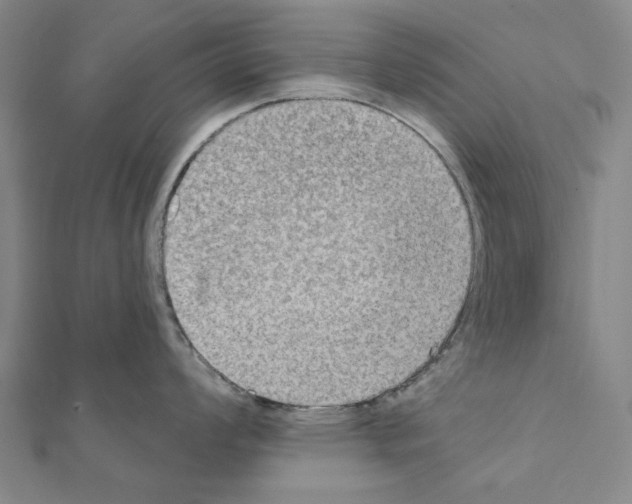 X0000111441008200908241140