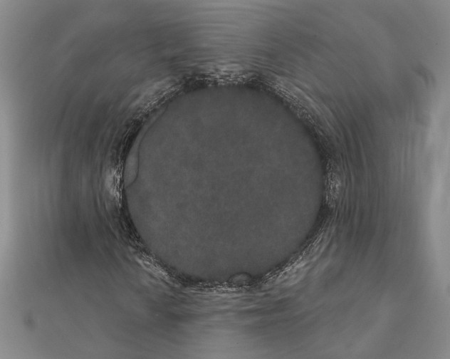 X0000111441010200908241139