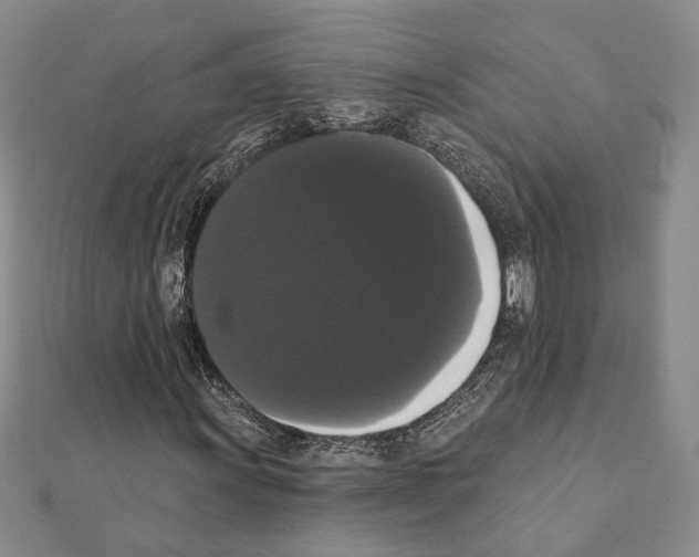 X0000111441011200908241139