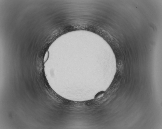 X0000111441012200908241139