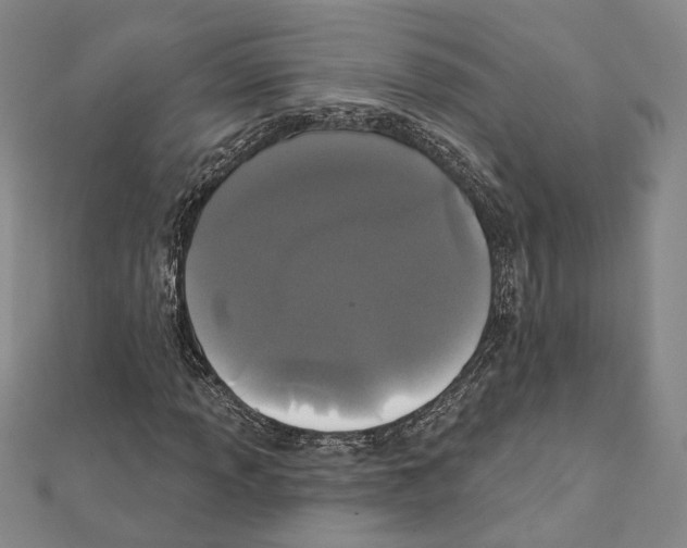 X0000111441013200908241139