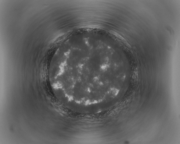 X0000111441014200908241139
