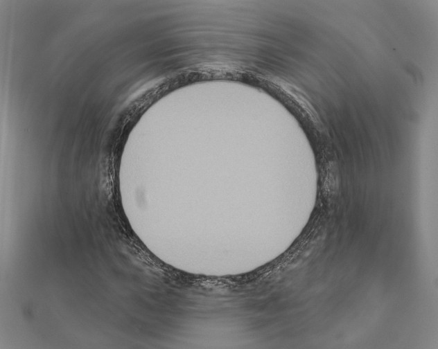 X0000111441015200908241139