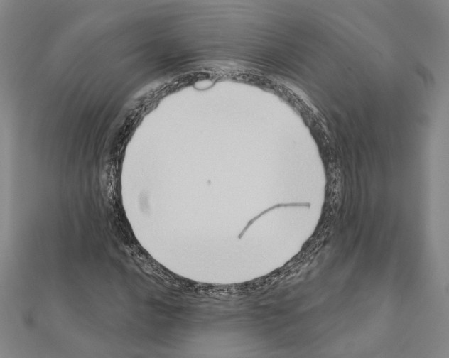 X0000111441016200908241139