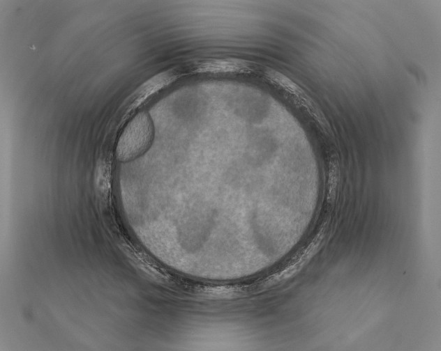 X0000111441017200908241139