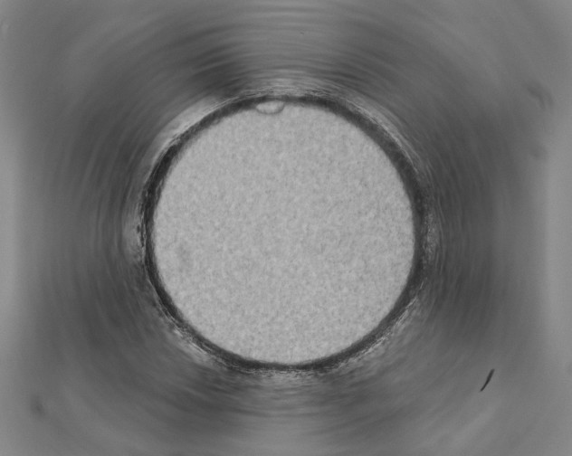 X0000111441018200908241139