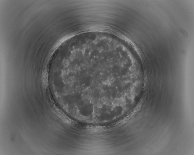 X0000111441019200908241139