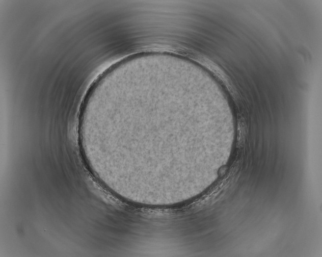 X0000111441020200908241139