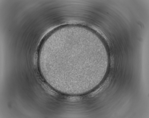 X0000111441021200908241139