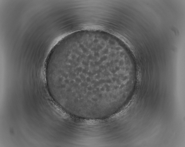 X0000111441022200908241139