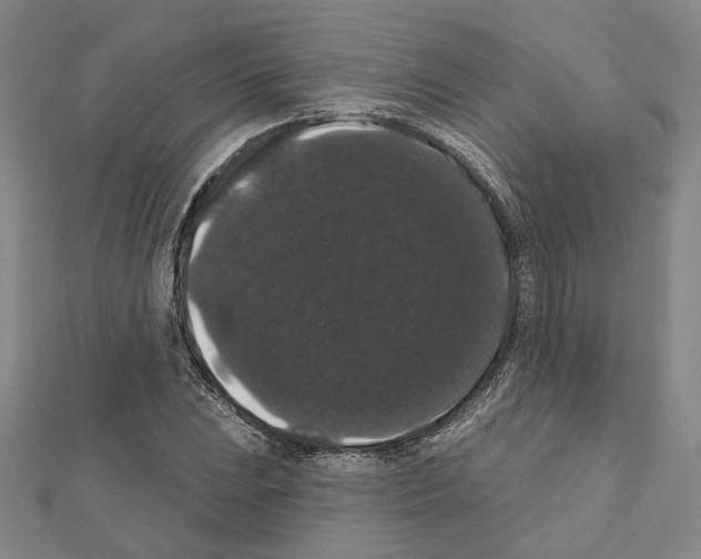 X0000111441023200908241139