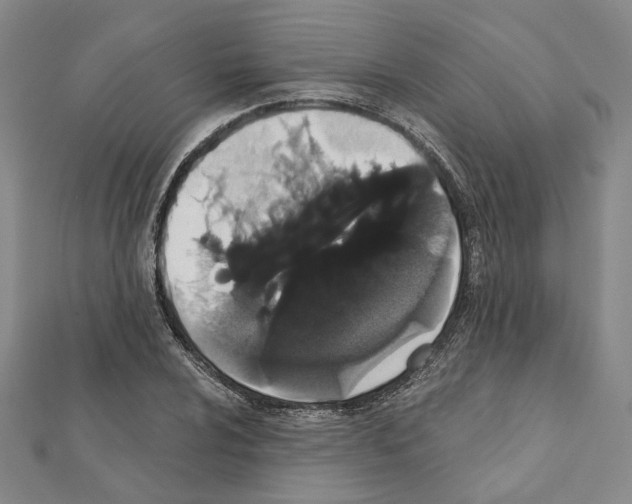 X0000111441024200908241139