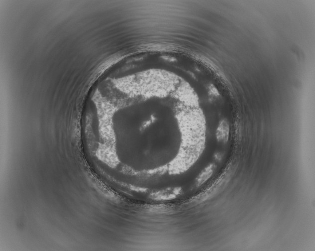 X0000111441025200908241139