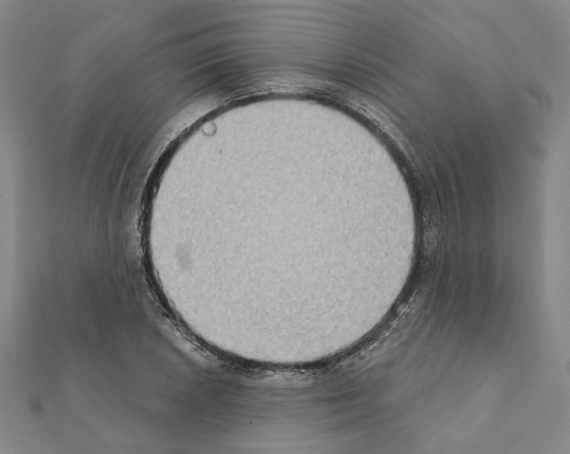 X0000111441026200908241139