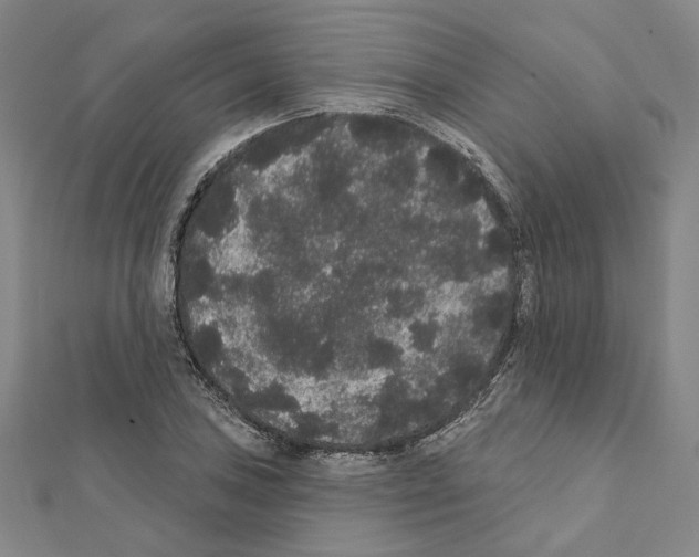 X0000111441027200908241139