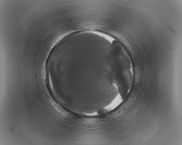 X0000111441031200908241139