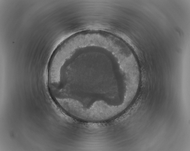 X0000111441032200908241139