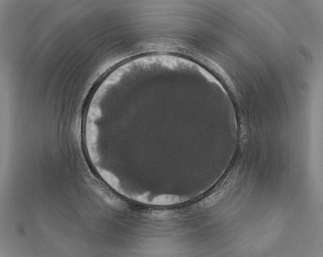 X0000111441035200908241139