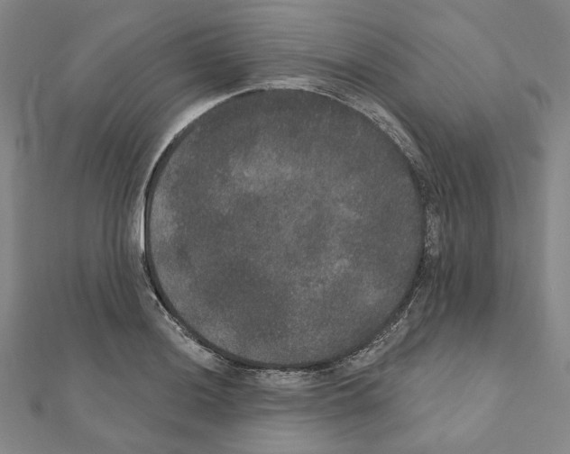 X0000111441036200908241139