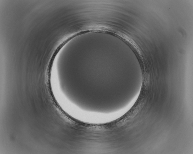 X0000111441037200908241139