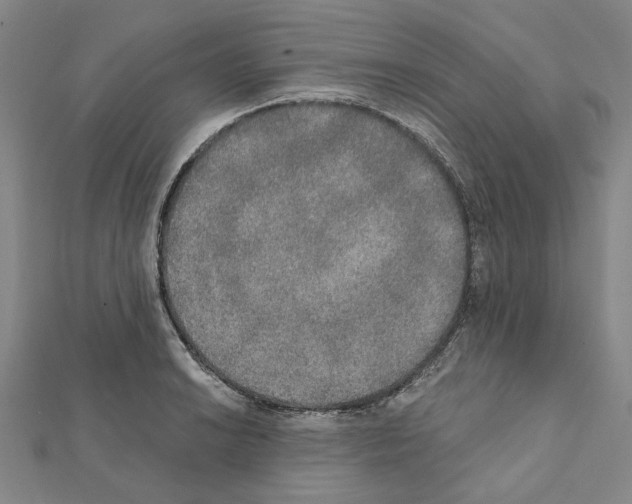 X0000111441038200908241139