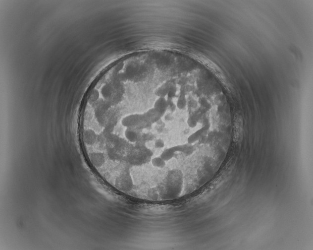 X0000111441039200908241139
