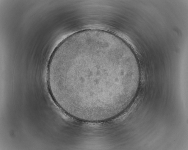 X0000111441040200908241139