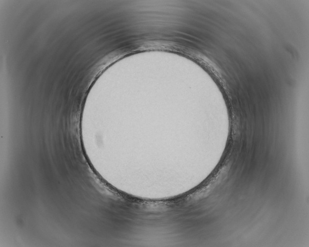 X0000111441041200908241139