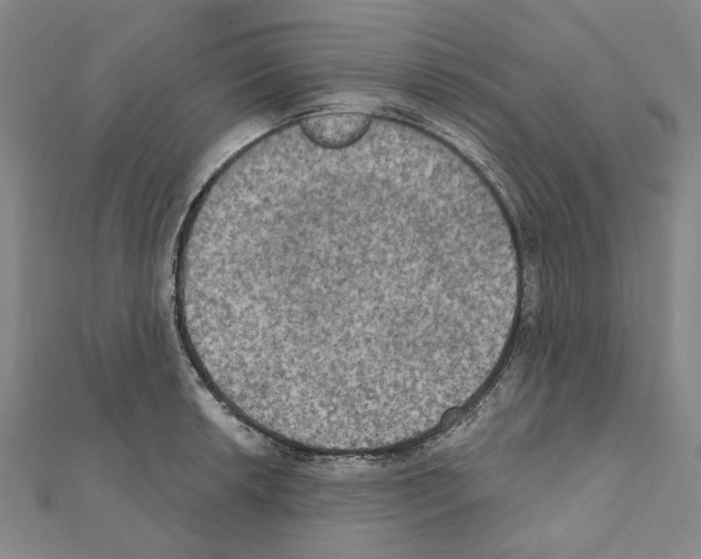 X0000111441042200908241139