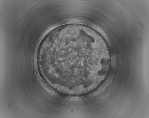 X0000111441043200908241139
