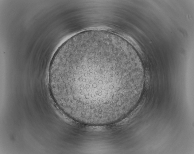 X0000111441044200908241139