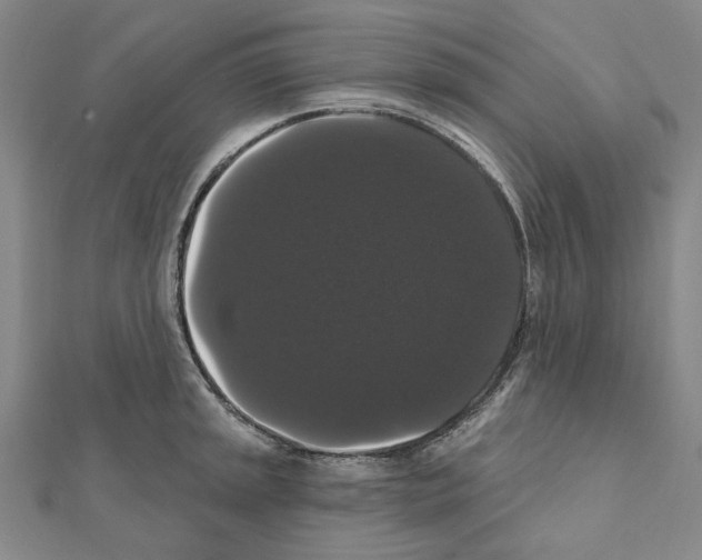 X0000111441045200908241139
