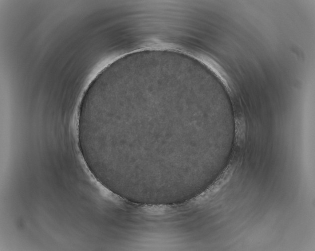 X0000111441046200908241139
