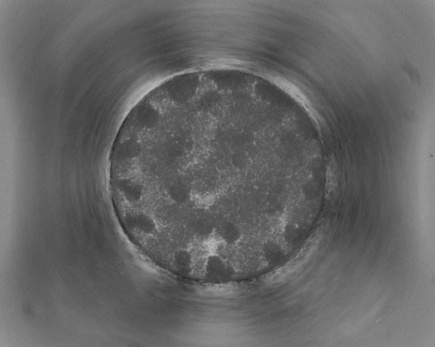 X0000111441047200908241139