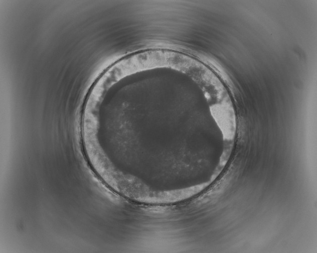 X0000111441048200908241140