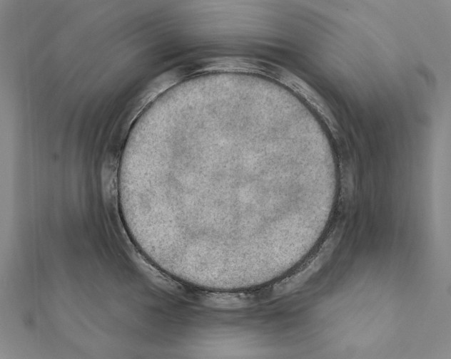 X0000111441049200908241140