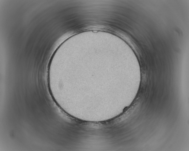 X0000111441050200908241140