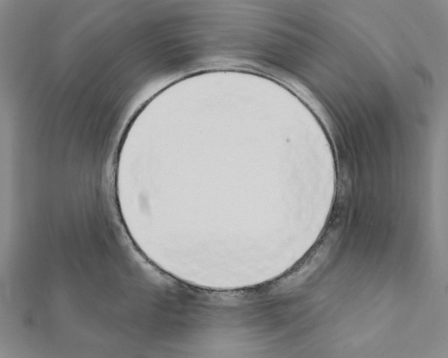 X0000111441053200908241140