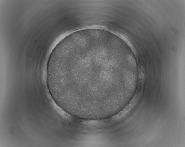 X0000111441054200908241140