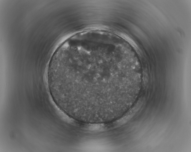 X0000111441055200908241140