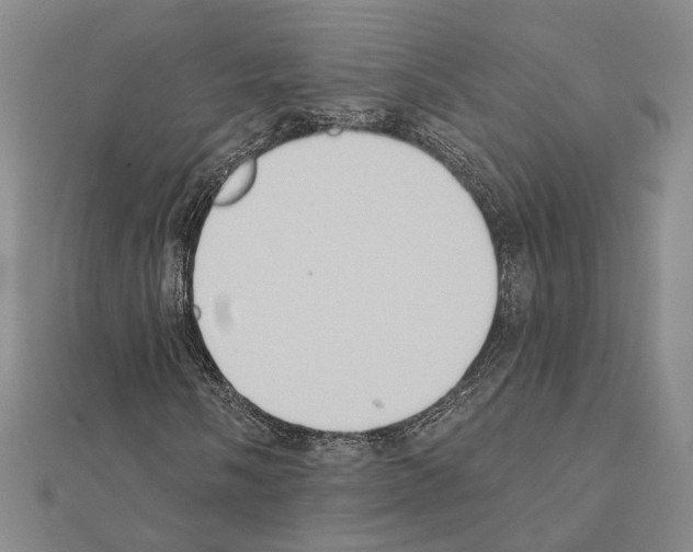 X0000111441058200908241139
