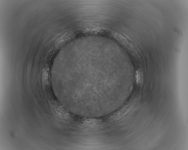 X0000111441059200908241139