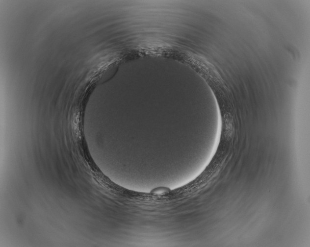 X0000111441060200908241139